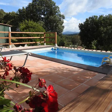 Smeralda Apartment Telti