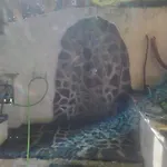 Διαμέρισμα Smeralda *