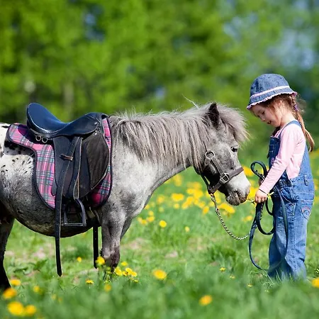 Daire Smeralda Telti