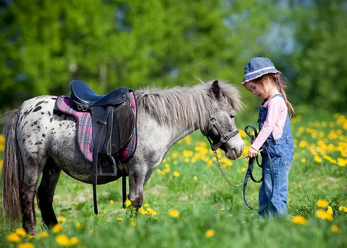 公寓 Smeralda Telti