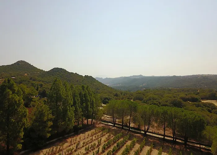 Smeralda 公寓 Telti